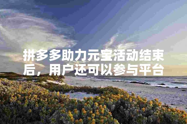 拼多多助力元宝活动结束后，用户还可以参与平台的其他优惠活动和购物节。