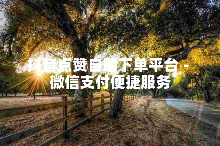 抖音点赞自助下单平台 - 微信支付便捷服务