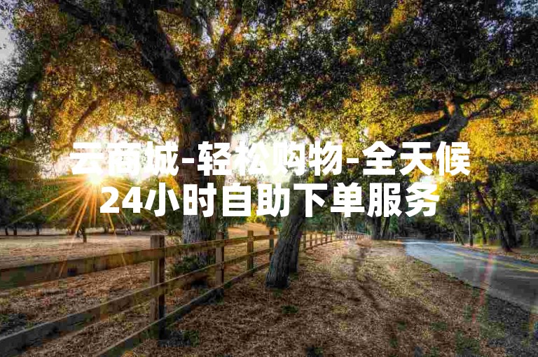 云商城-轻松购物-全天候24小时自助下单服务