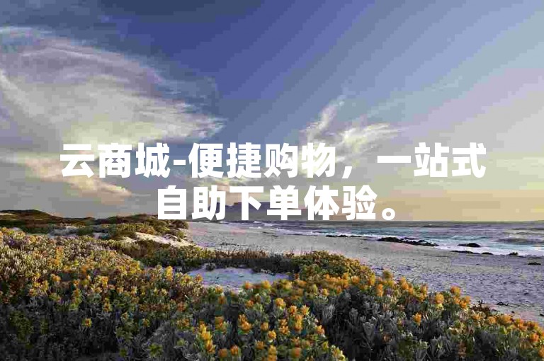 云商城-便捷购物，一站式自助下单体验。