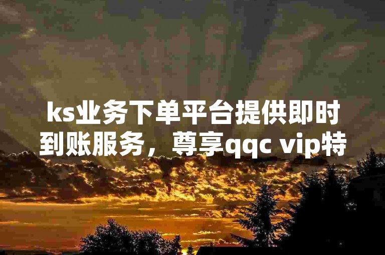 ks业务下单平台提供即时到账服务，尊享qqc vip特权。