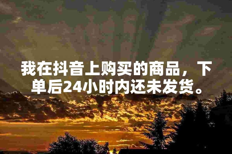 我在抖音上购买的商品，下单后24小时内还未发货。