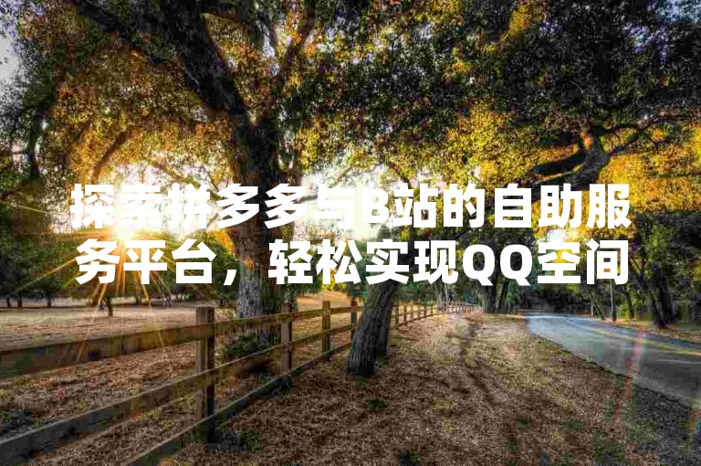 探索拼多多与B站的自助服务平台，轻松实现QQ空间说说赞和动态秒赞的自助下单设置。