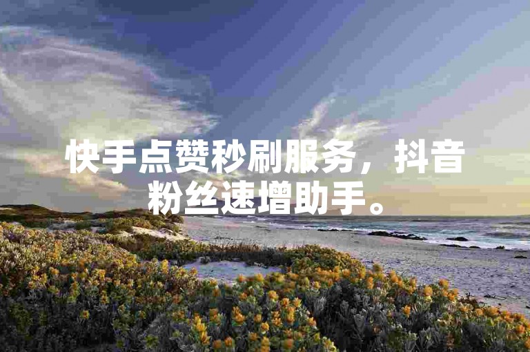 快手点赞秒刷服务，抖音粉丝速增助手。