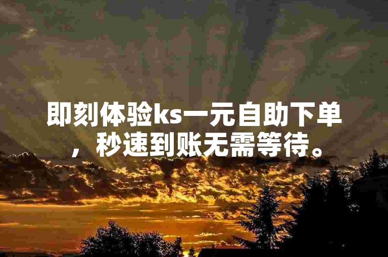 即刻体验ks一元自助下单，秒速到账无需等待。