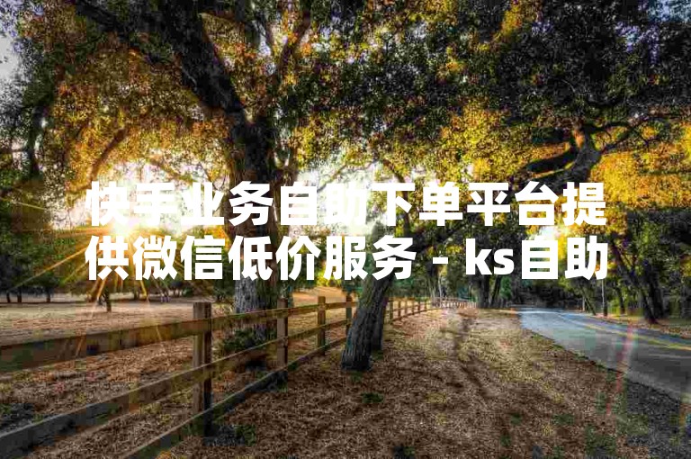 快手业务自助下单平台提供微信低价服务 - ks自助下单网站便捷高效。