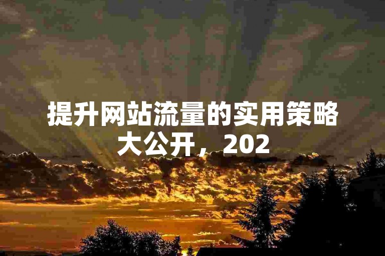 提升网站流量的实用策略大公开，2025年必备的网站访问量增长技巧！