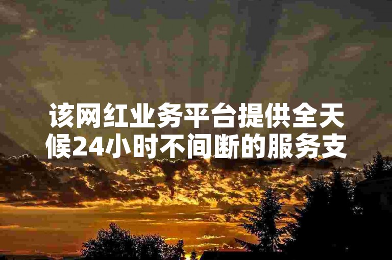 该网红业务平台提供全天候24小时不间断的服务支持。