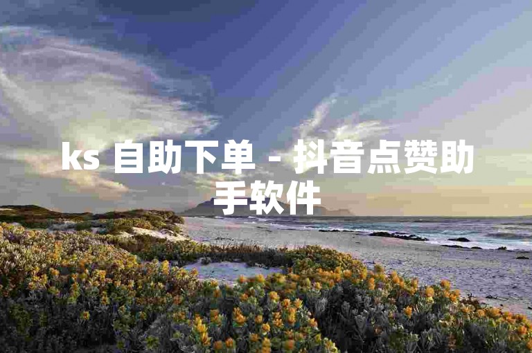 ks 自助下单 - 抖音点赞助手软件