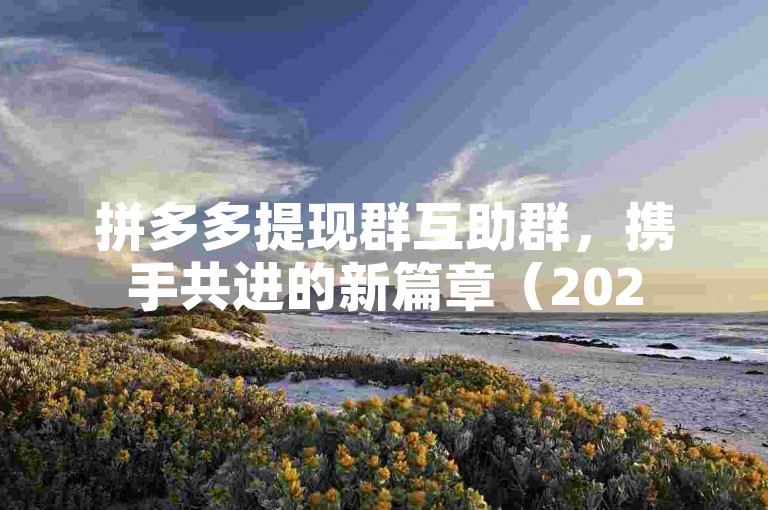 拼多多提现群互助群，携手共进的新篇章（2025展望）