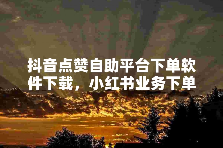 抖音点赞自助平台下单软件下载，小红书业务下单平台小眼睛，快手在线业务真人下单24小时。
