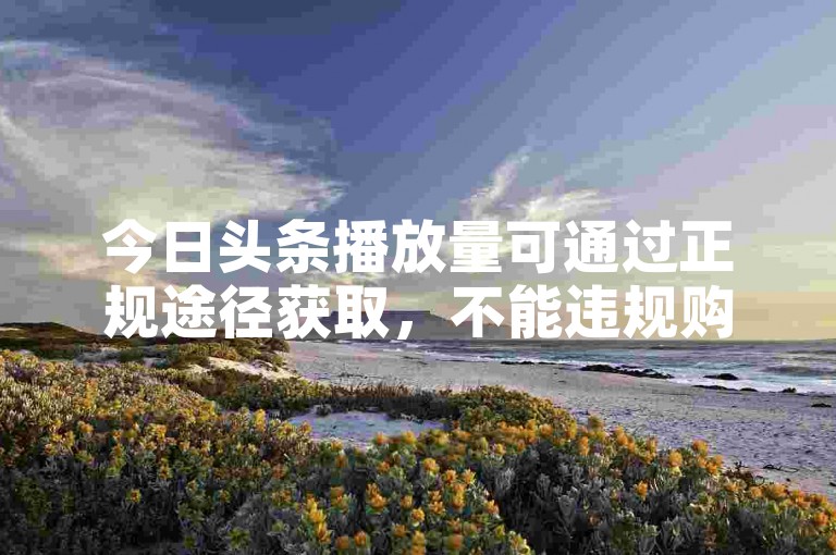 今日头条播放量可通过正规途径获取，不能违规购买。