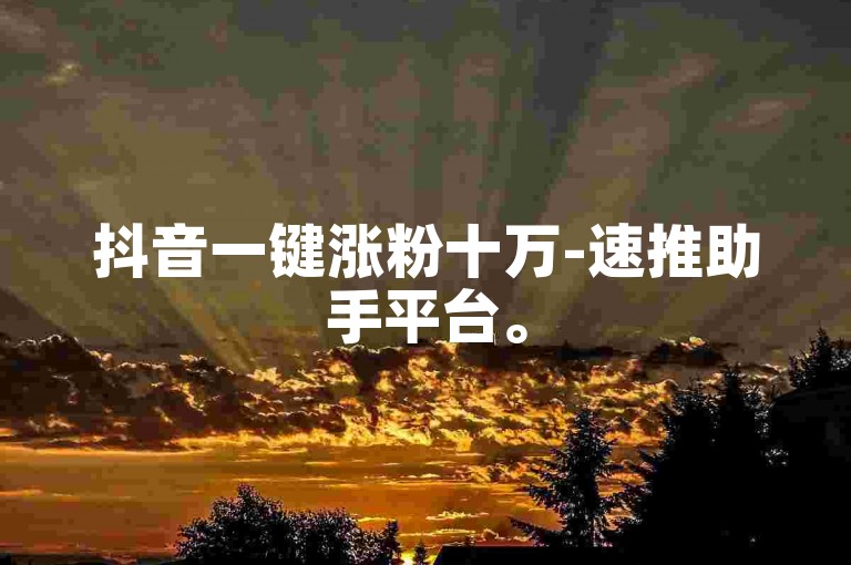抖音一键涨粉十万-速推助手平台。