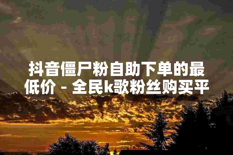 抖音僵尸粉自助下单的最低价 - 全民k歌粉丝购买平台位于何处？