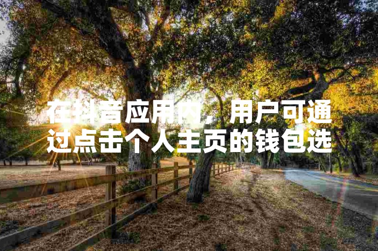 在抖音应用内，用户可通过点击个人主页的钱包选项，找到并进入抖币充值页面，完成苹果设备上的抖币购买流程。
