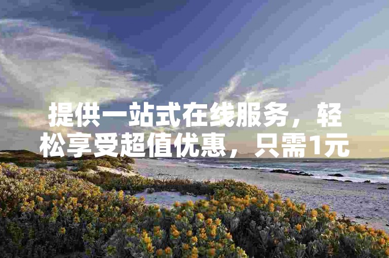提供一站式在线服务，轻松享受超值优惠，只需1元即可获得100个点赞。