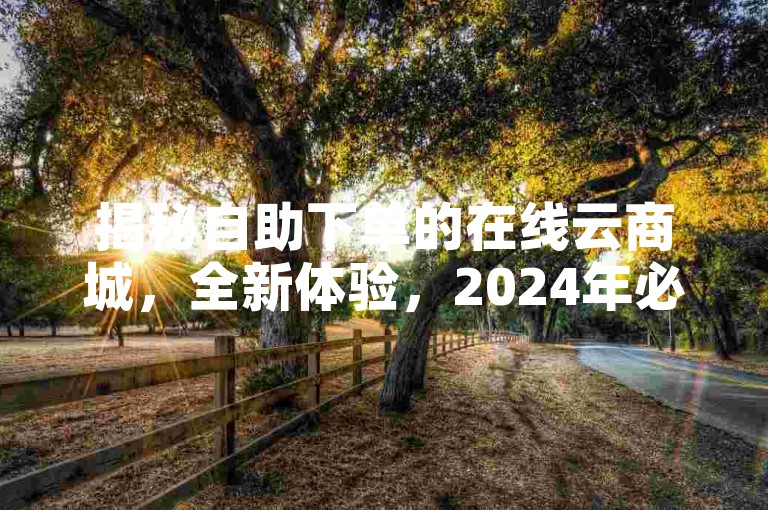揭秘自助下单的在线云商城，全新体验，2024年必学！