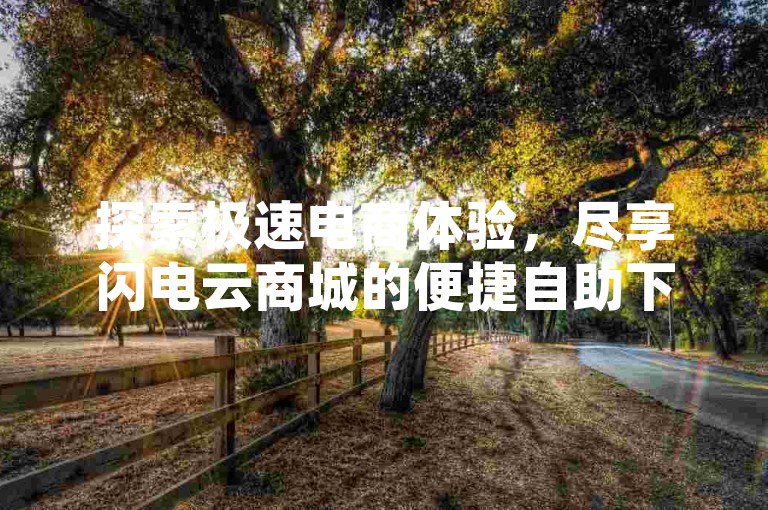 探索极速电商体验，尽享闪电云商城的便捷自助下单服务，发现全网最低价的购物天堂。