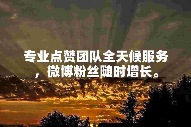 专业点赞团队全天候服务，微博粉丝随时增长。