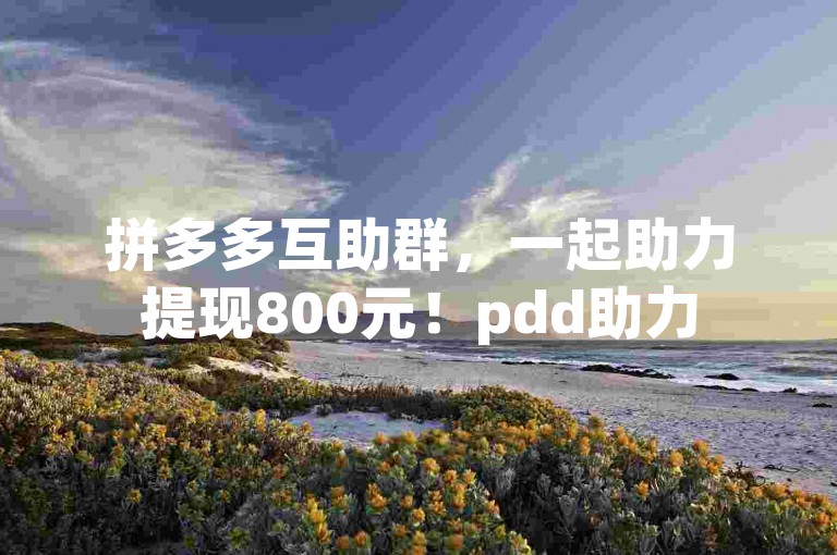 拼多多互助群，一起助力提现800元！pdd助力
