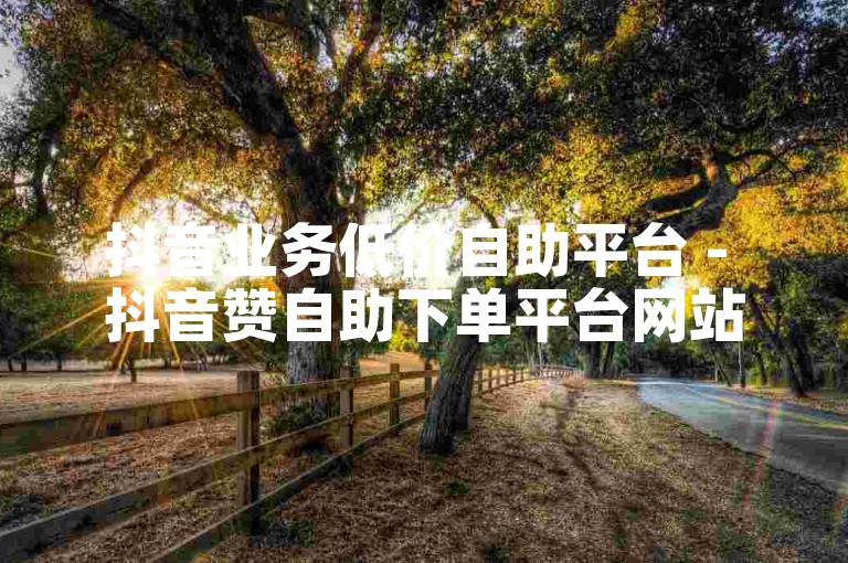 抖音业务低价自助平台 - 抖音赞自助下单平台网站个