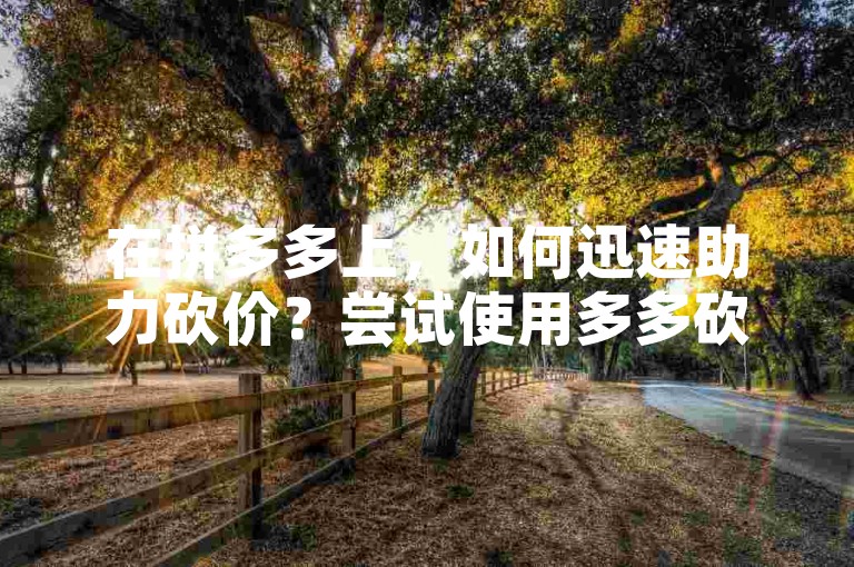 在拼多多上，如何迅速助力砍价？尝试使用多多砍价网站来加速你的进度。