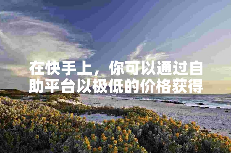 在快手上，你可以通过自助平台以极低的价格获得一千赞的服务。