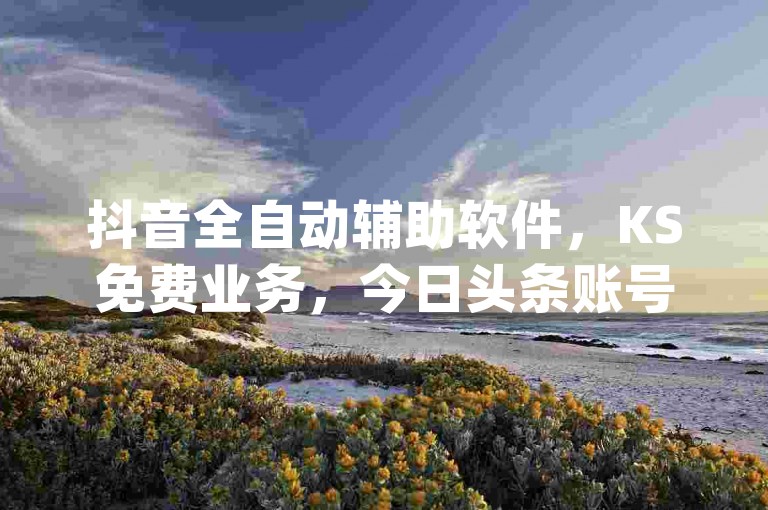 抖音全自动辅助软件，KS免费业务，今日头条账号购买商城 - qq访客1人浏览量2是什么意思。