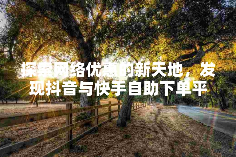 探索网络优惠的新天地，发现抖音与快手自助下单平台的超值服务。