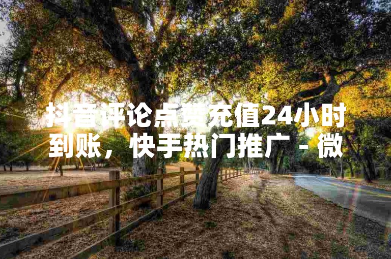 抖音评论点赞充值24小时到账，快手热门推广 - 微信卡盟24小时自动发卡平台 - 1元3000粉丝全民K歌
