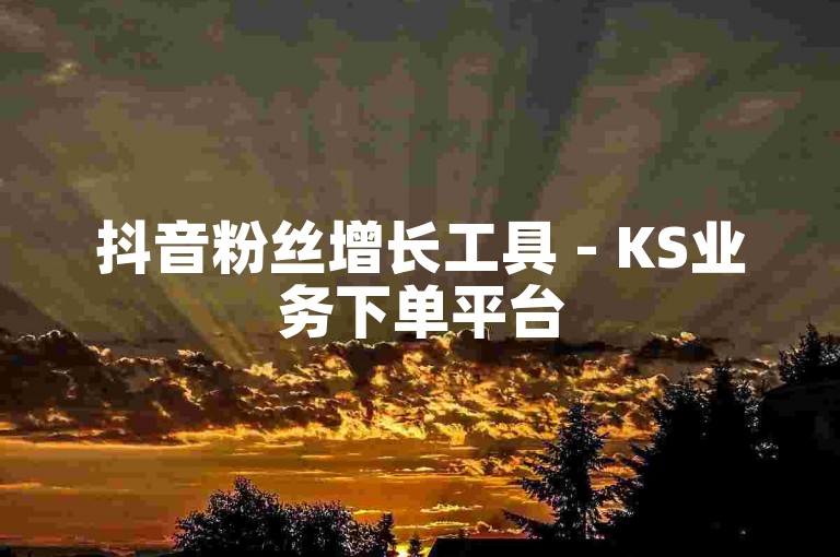 抖音粉丝增长工具 - KS业务下单平台