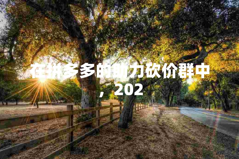 在拼多多的助力砍价群中，2025年的优惠活动吸引了众多消费者的目光。