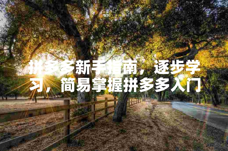 拼多多新手指南，逐步学习，简易掌握拼多多入门技巧。