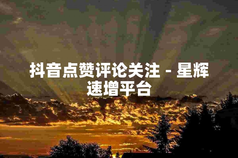 抖音点赞评论关注 - 星辉速增平台