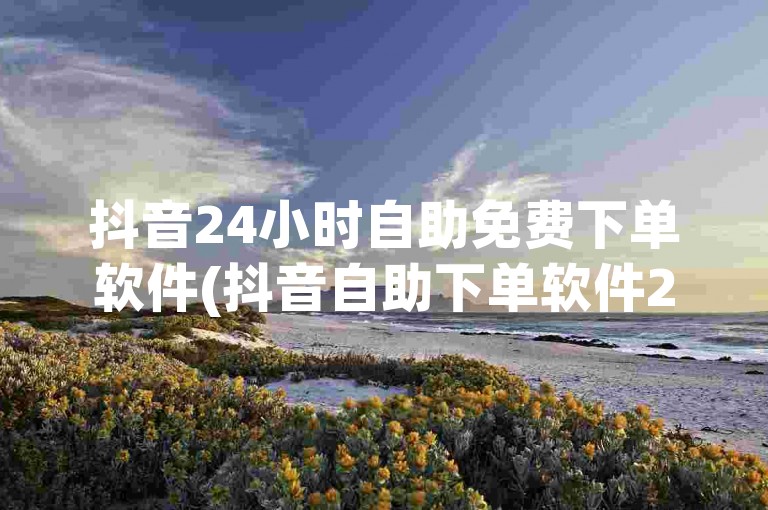 抖音24小时自助免费下单软件(抖音自助下单软件24小时免费服务)