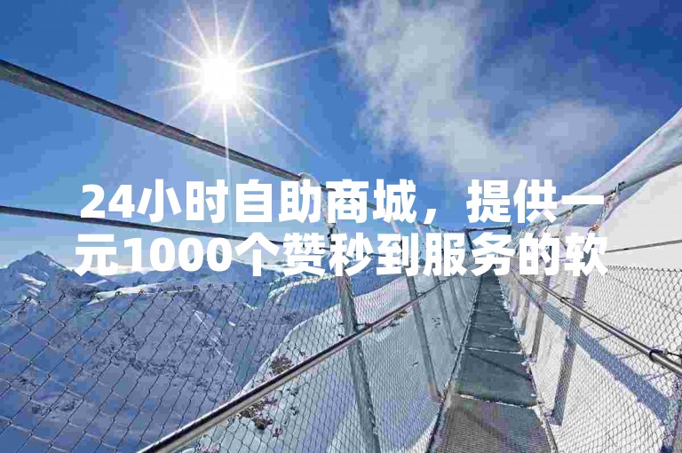 24小时自助商城，提供一元1000个赞秒到服务的软件。