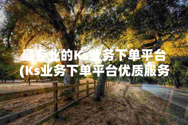 最专业的Ks业务下单平台(Ks业务下单平台优质服务)