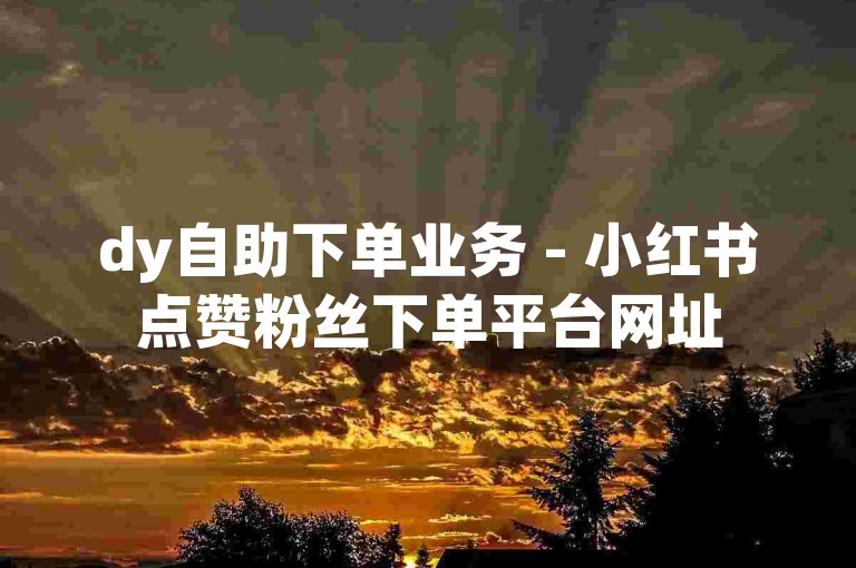 dy自助下单业务 - 小红书点赞粉丝下单平台网址