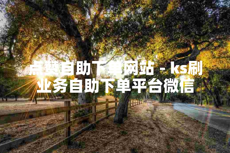 点赞自助下单网站 - ks刷业务自助下单平台微信