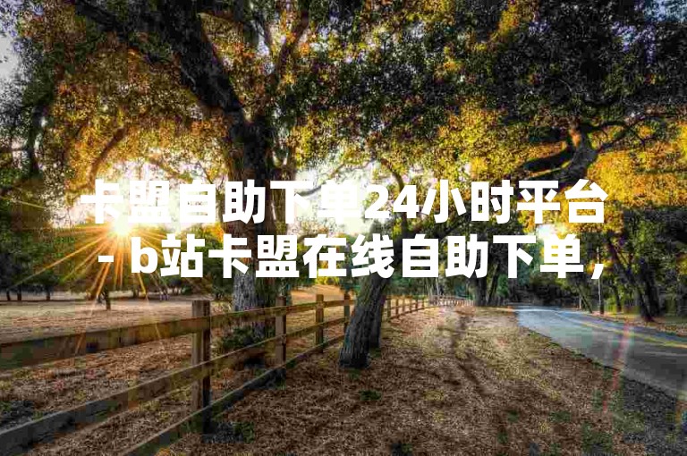 卡盟自助下单24小时平台 - b站卡盟在线自助下单，提供全天候不间断的服务。