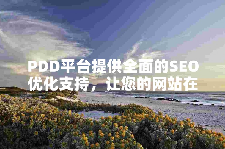 PDD平台提供全面的SEO优化支持，让您的网站在众多竞争者中独树一帜