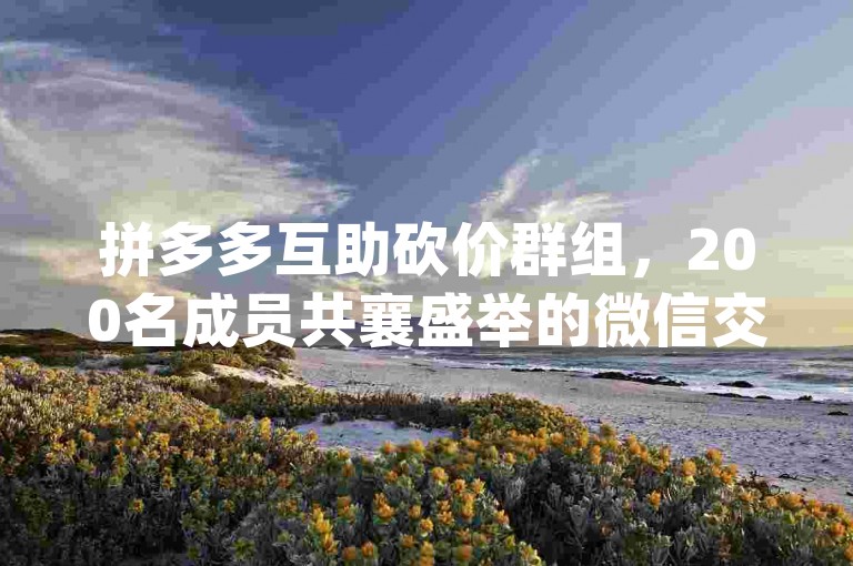 拼多多互助砍价群组，200名成员共襄盛举的微信交流圈{pdd砍价新手帮}。