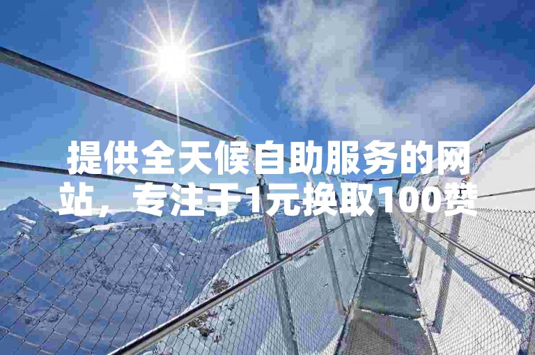 提供全天候自助服务的网站，专注于1元换取100赞的高效下单平台。