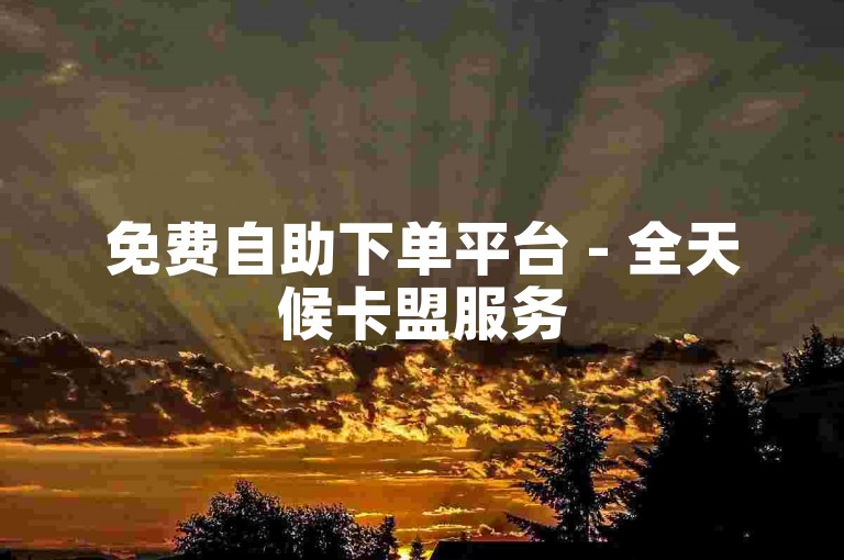 免费自助下单平台 - 全天候卡盟服务