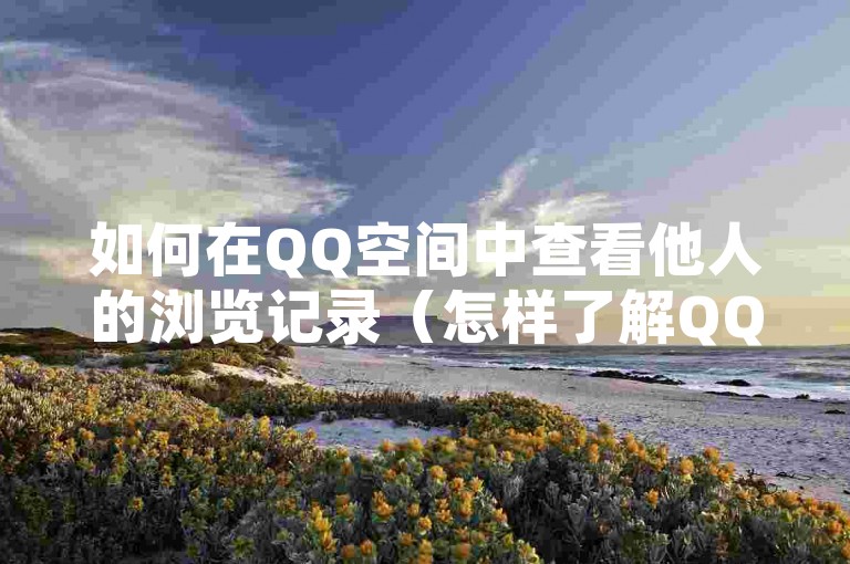 如何在QQ空间中查看他人的浏览记录（怎样了解QQ空间的访问详情）。