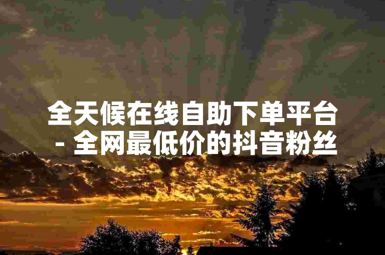 全天候在线自助下单平台 - 全网最低价的抖音粉丝增长服务网站。
