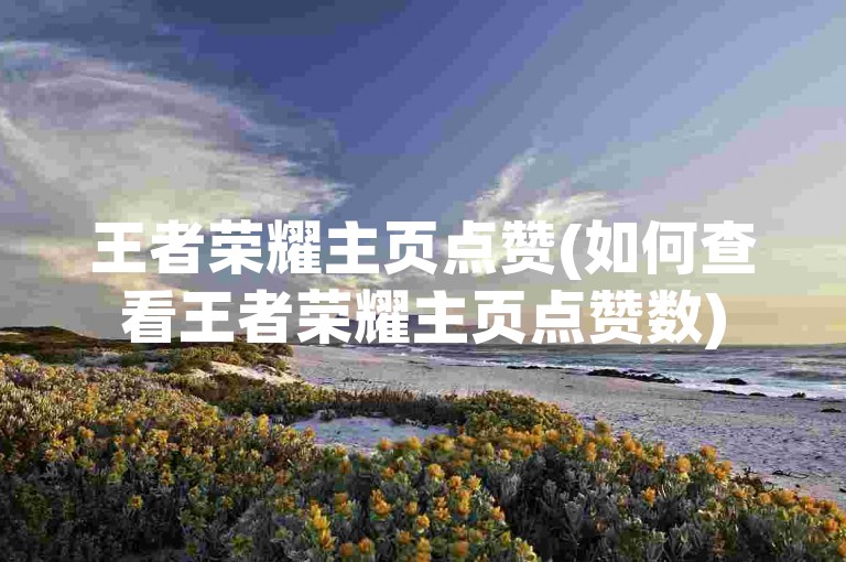 王者荣耀主页点赞(如何查看王者荣耀主页点赞数)