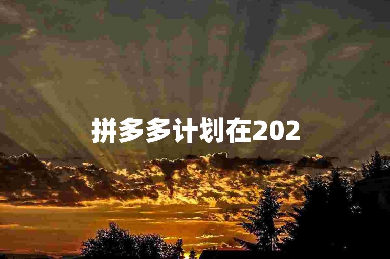 拼多多计划在2025年扩展其砍价平台，增设多个分站以提升服务覆盖。