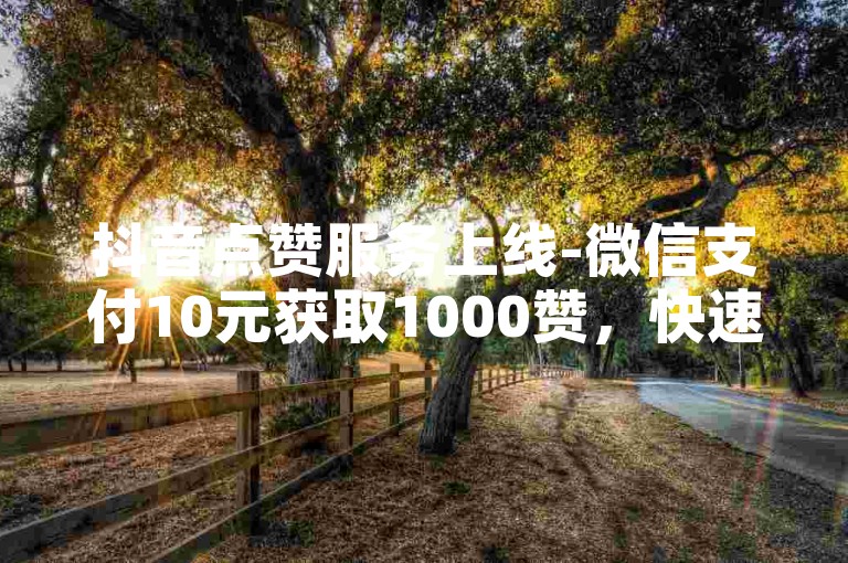 抖音点赞服务上线-微信支付10元获取1000赞，快速提升视频热度的自助平台。