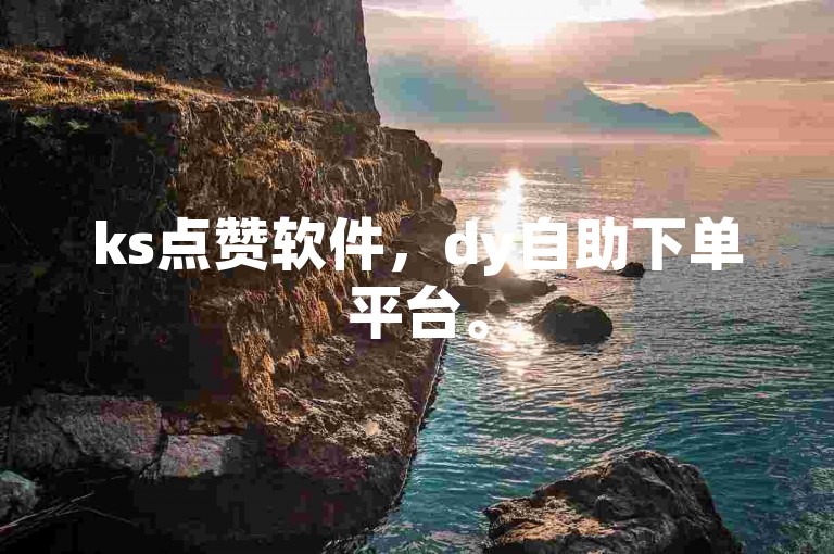 ks点赞软件，dy自助下单平台。